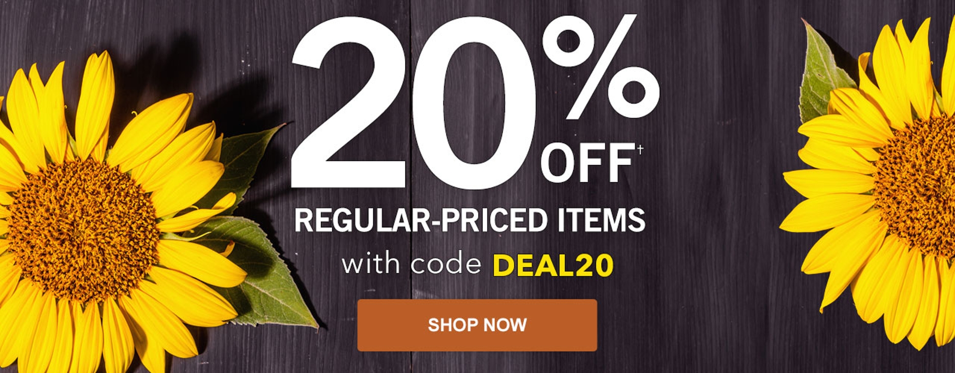 Shop Regular-Priced Items